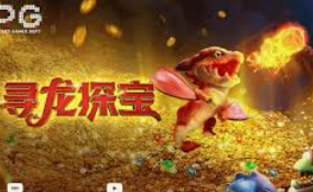 pg赚钱网站正式版