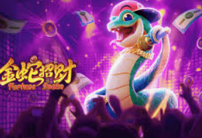 pg赚钱网站正式版