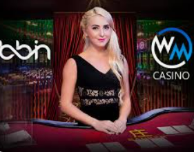 pg赚钱网站电脑免费版